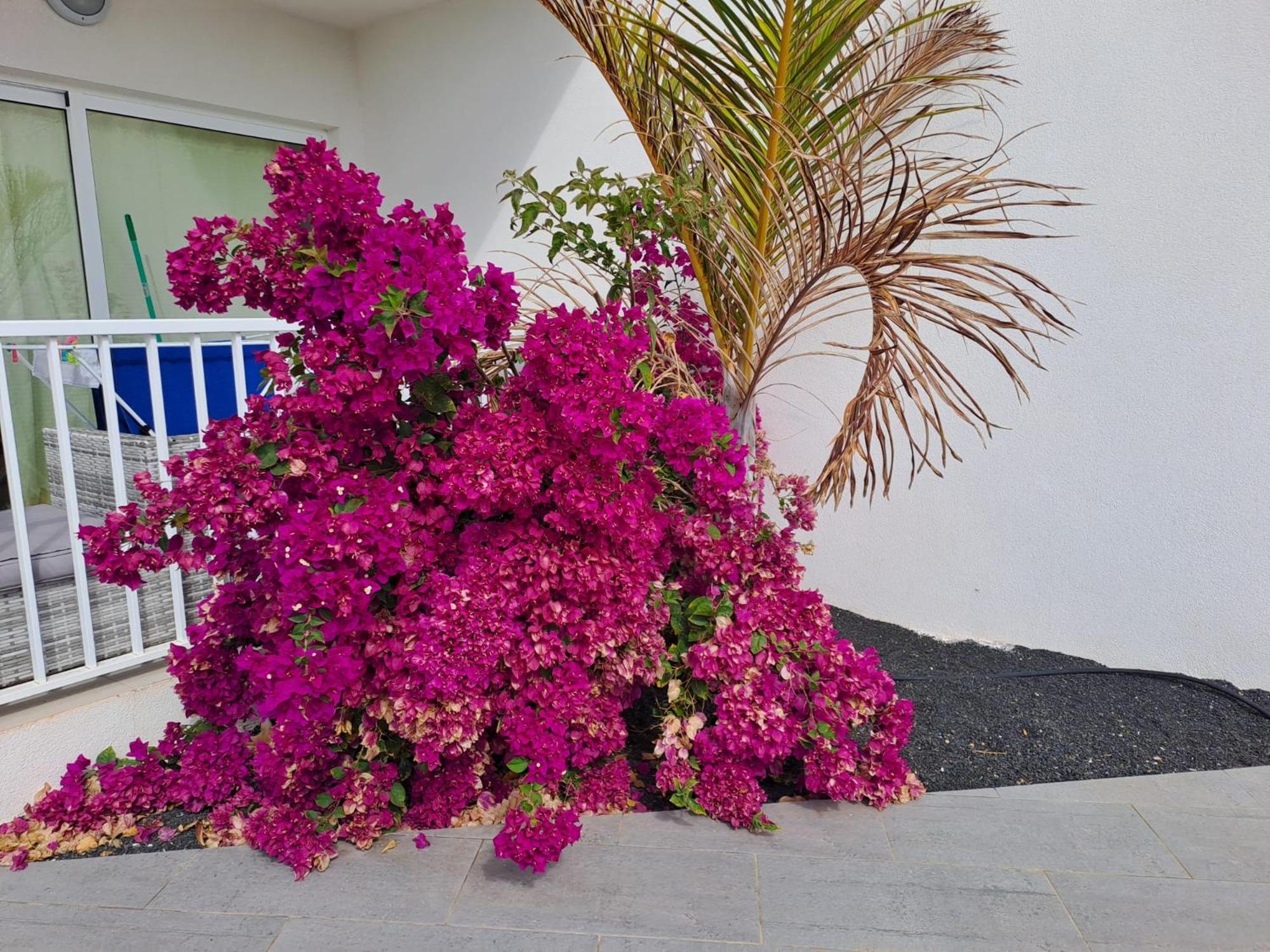 Appartement Luxury Sea View Senator Lanzarote à Costa Teguise Extérieur photo